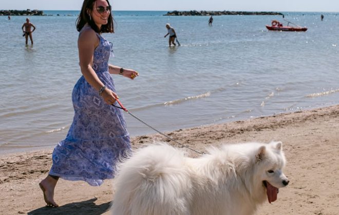 Fille marchant au bord de la mer avec son chien